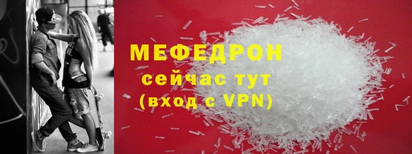индика Каменка