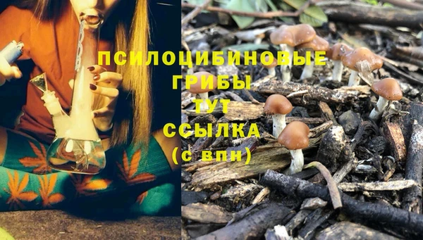 марки nbome Алзамай
